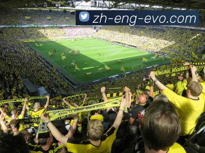 EVO真人官网服务体系